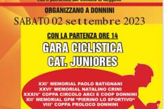 Corsa ciclistica a Donnini, sabato 2 settembre