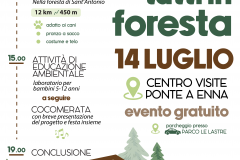 Tutti in foresta - Domenica 14 luglio