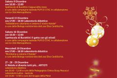 Natale in Biblioteca